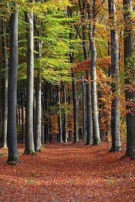 BUITEN BEELD Foto: 451416