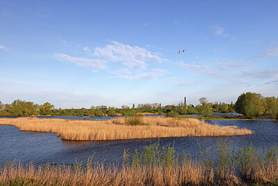 BUITEN BEELD Foto: 451418