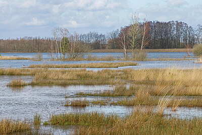 BUITEN BEELD Foto: 451421