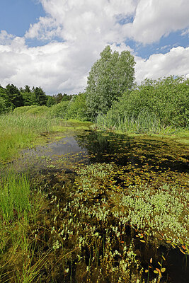 BUITEN BEELD Foto: 451425