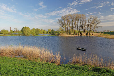 BUITEN BEELD Foto: 451427