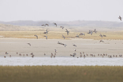 BUITEN BEELD Foto: 451454