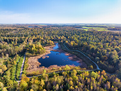 BUITEN BEELD Foto: 451470
