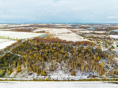 BUITEN BEELD Foto: 451472