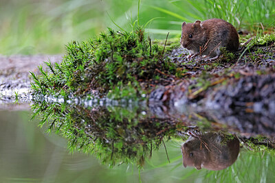 BUITEN BEELD Foto: 451491