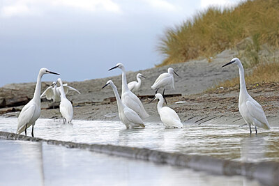 BUITEN BEELD Foto: 451524