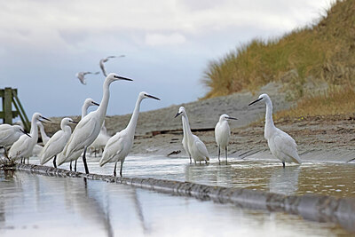 BUITEN BEELD Foto: 451534