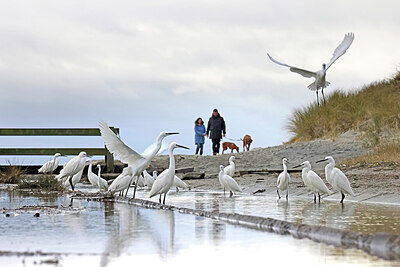 BUITEN BEELD Foto: 451536