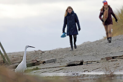 BUITEN BEELD Foto: 451542