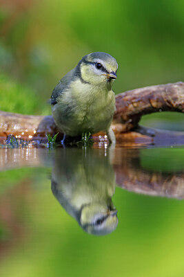 BUITEN BEELD Foto: 451549