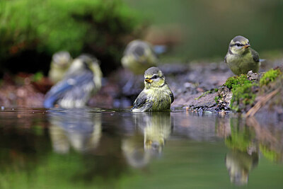 BUITEN BEELD Foto: 451550