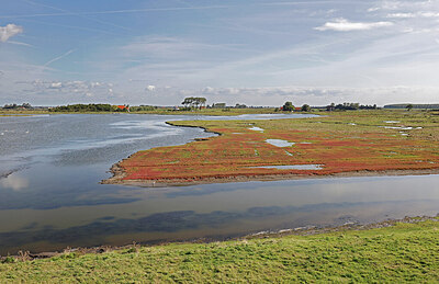 BUITEN BEELD Foto: 451551