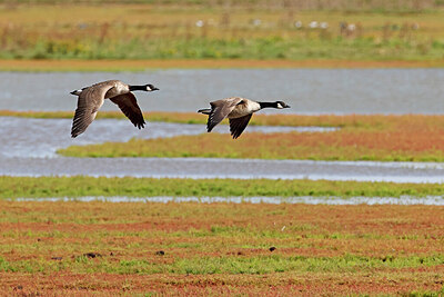 BUITEN BEELD Foto: 451574