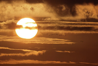BUITEN BEELD Foto: 451648