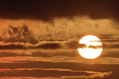 BUITEN BEELD Foto: 451649