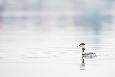 BUITEN BEELD Foto: 451681