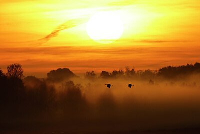 BUITEN BEELD Foto: 451837