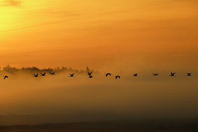 BUITEN BEELD Foto: 451838