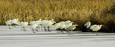 BUITEN BEELD Foto: 451871