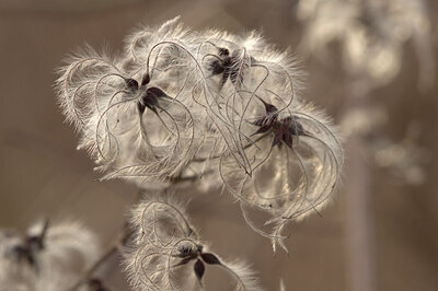 BUITEN BEELD Foto: 451895