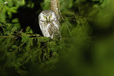 BUITEN BEELD Foto: 451902