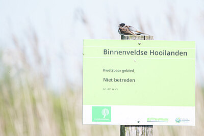 BUITEN BEELD Foto: 451919