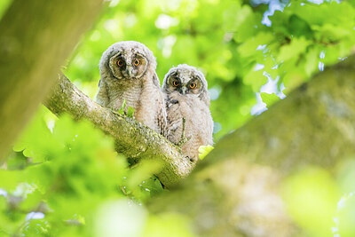 BUITEN BEELD Foto: 451938