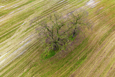 BUITEN BEELD Foto: 451988