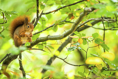 BUITEN BEELD Foto: 452086