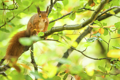 BUITEN BEELD Foto: 452087