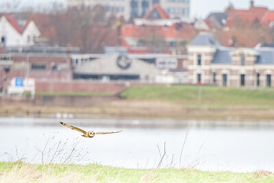 BUITEN BEELD Foto: 452102