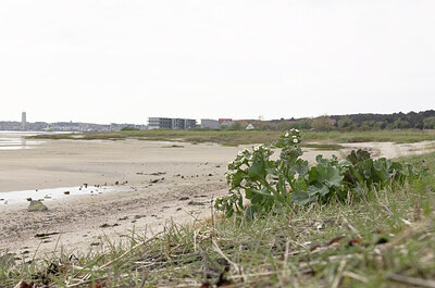 BUITEN BEELD Foto: 452275