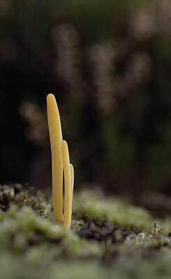 BUITEN BEELD Foto: 452285