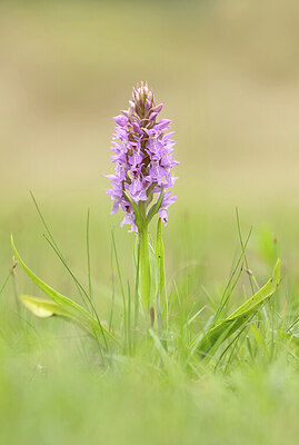 BUITEN BEELD Foto: 452301