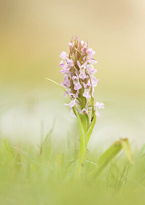 BUITEN BEELD Foto: 452305