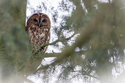 BUITEN BEELD Foto: 452344