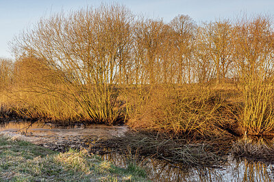 BUITEN BEELD Foto: 452368