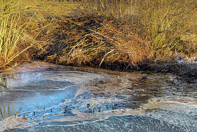 BUITEN BEELD Foto: 452369
