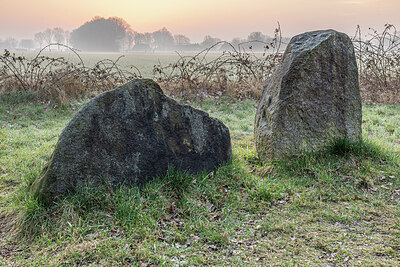 BUITEN BEELD Foto: 452370