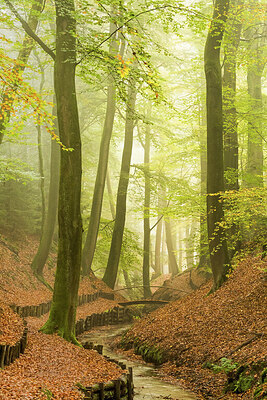 BUITEN BEELD Foto: 452435