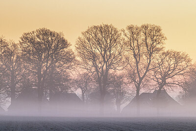 BUITEN BEELD Foto: 452481