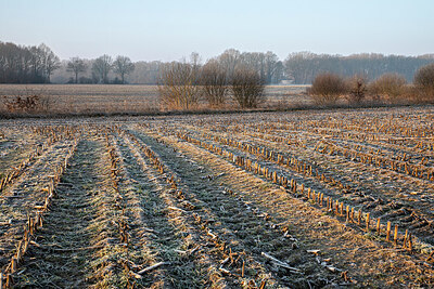 BUITEN BEELD Foto: 452482