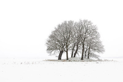 BUITEN BEELD Foto: 452493