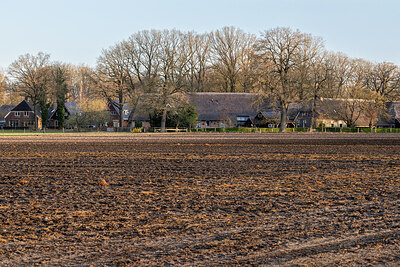 BUITEN BEELD Foto: 452499