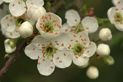 BUITEN BEELD Foto: 452532