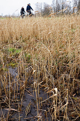 BUITEN BEELD Foto: 452552