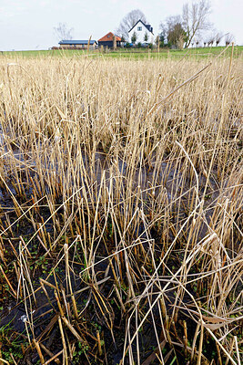 BUITEN BEELD Foto: 452565