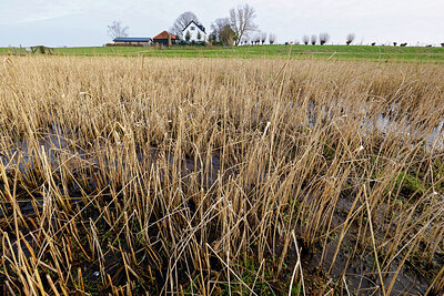 BUITEN BEELD Foto: 452566