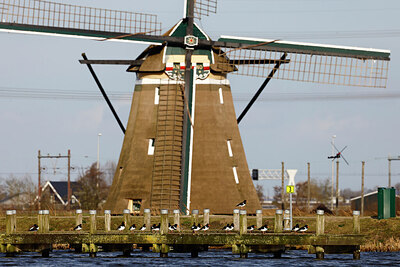 BUITEN BEELD Foto: 452573