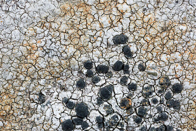 BUITEN BEELD Foto: 452579